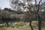 Apartment Rental Umbria - IL CONTRAFFORTE