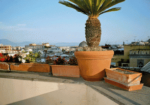 See the photo  of the apartment MARINELLI F2