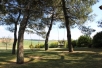 Voir la photo  de l'appartement 24 CAMERA AZZURRA