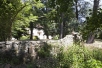 See the photo  of the apartment 12 GARDEN SUITE HS