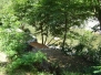 See the photo  of the apartment 16 GARDEN SUITE HS