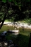 See the photo  of the apartment 14 GARDEN SUITE HS