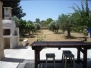 Voir la photo  de l'appartement 4 ALESSANO PAJARA 8 BS