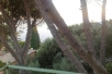 Voir la photo  de l'appartement 4 PROFUMO DI LIMONE