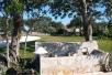 Voir la photo  de l'appartement 4 CIANCIO 19 HS